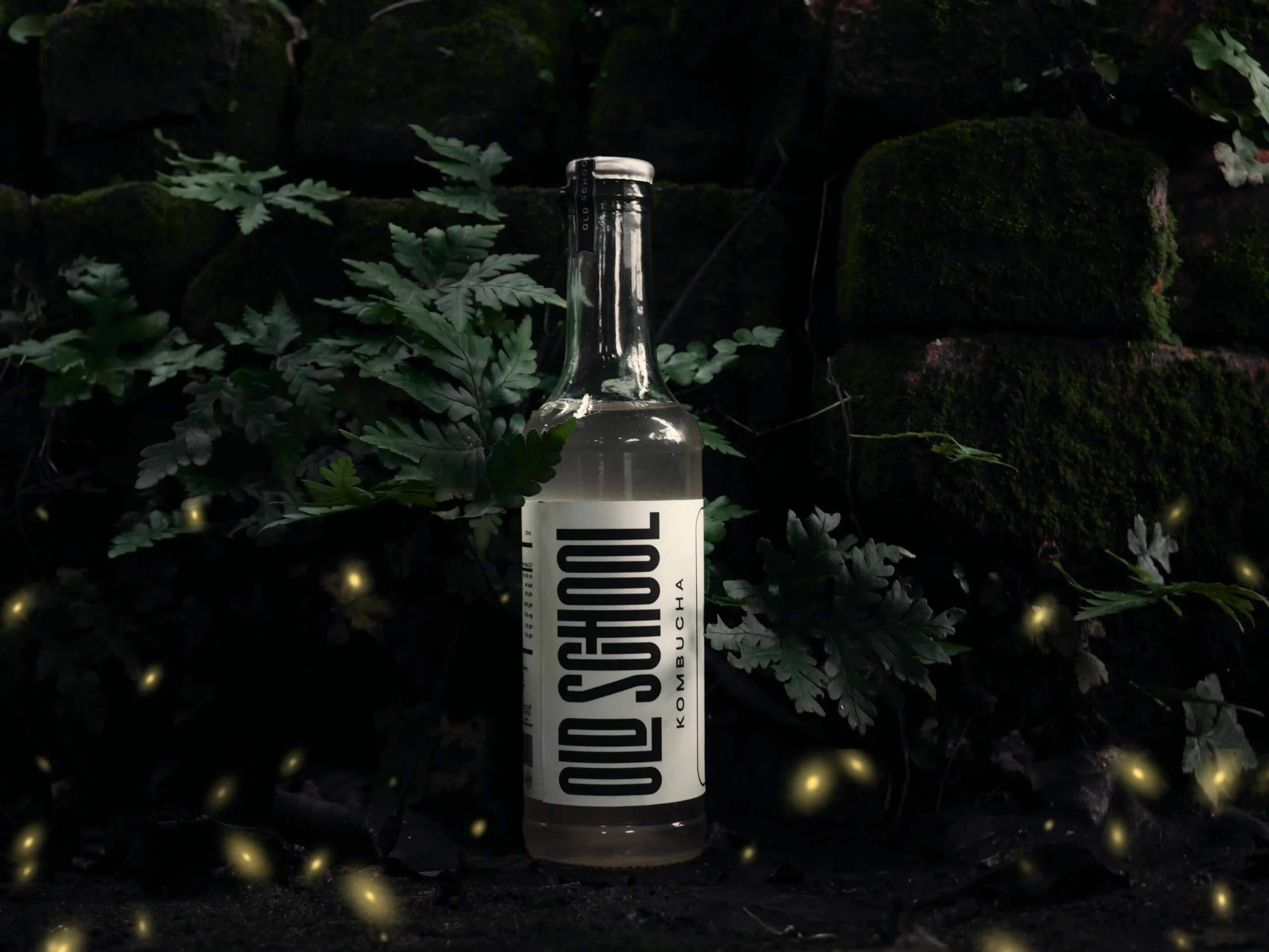 display pic from best kombucha in india